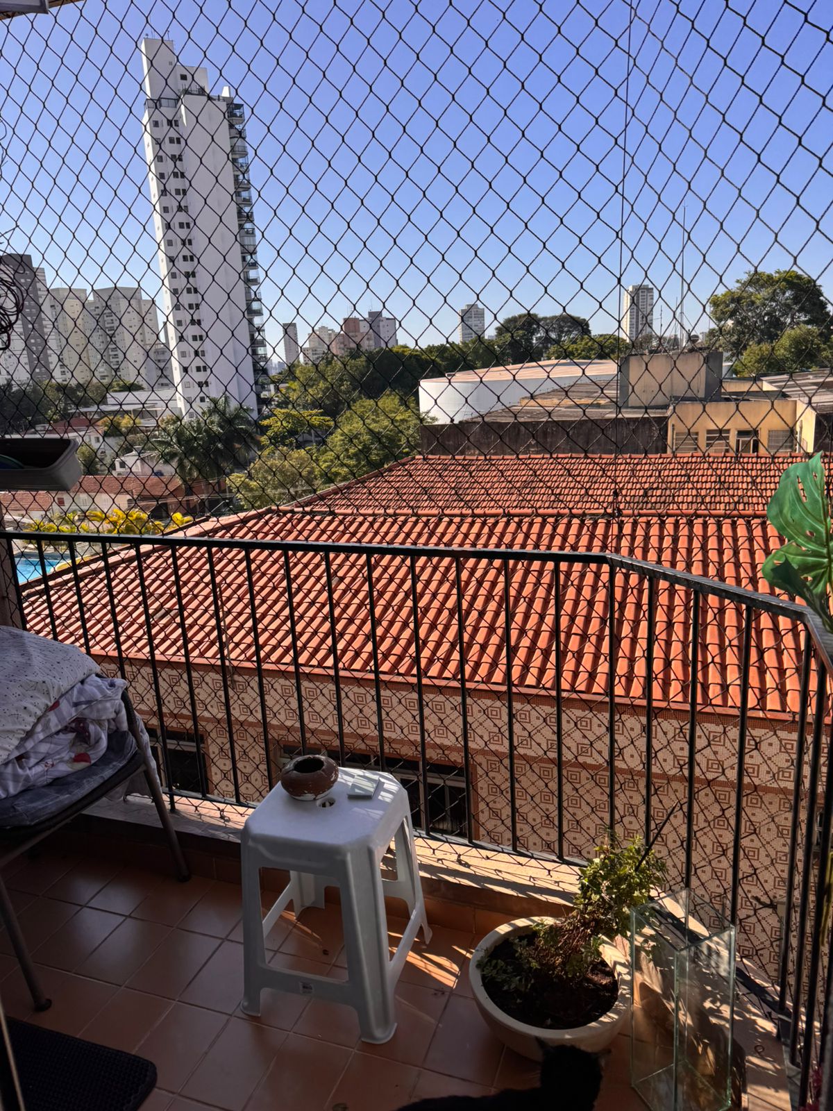 Imagem Apartamento com 2 Quartos à Venda ou Locação, 62 m² em Vila Mascote - São Paulo