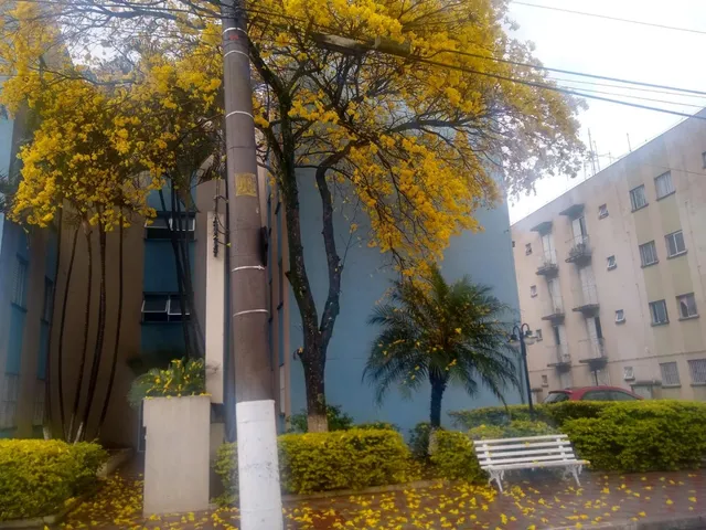 Imagem Apartamento com 2 Quartos à Venda, 49 m²em Jardim Mitsutani - São Paulo