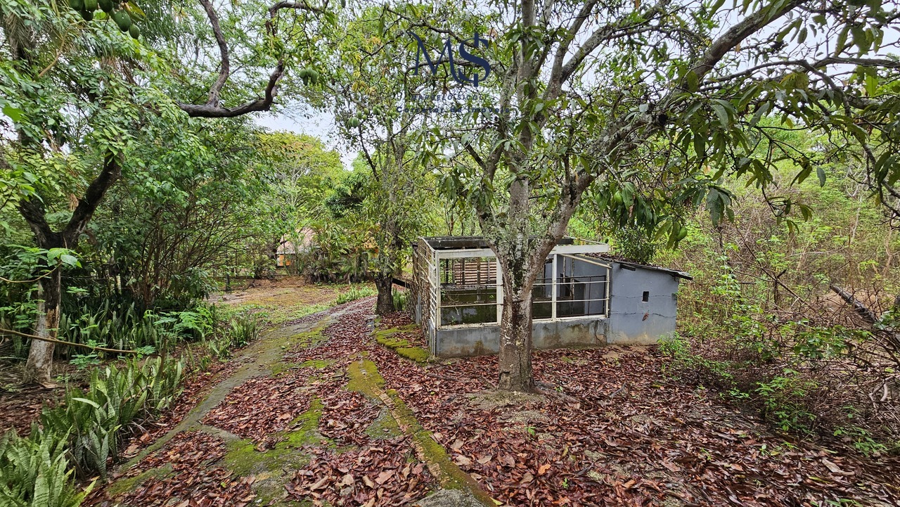 Imagem Chácara com 4 Quartos à Venda, 50 m²em Bonsucesso - Brasília