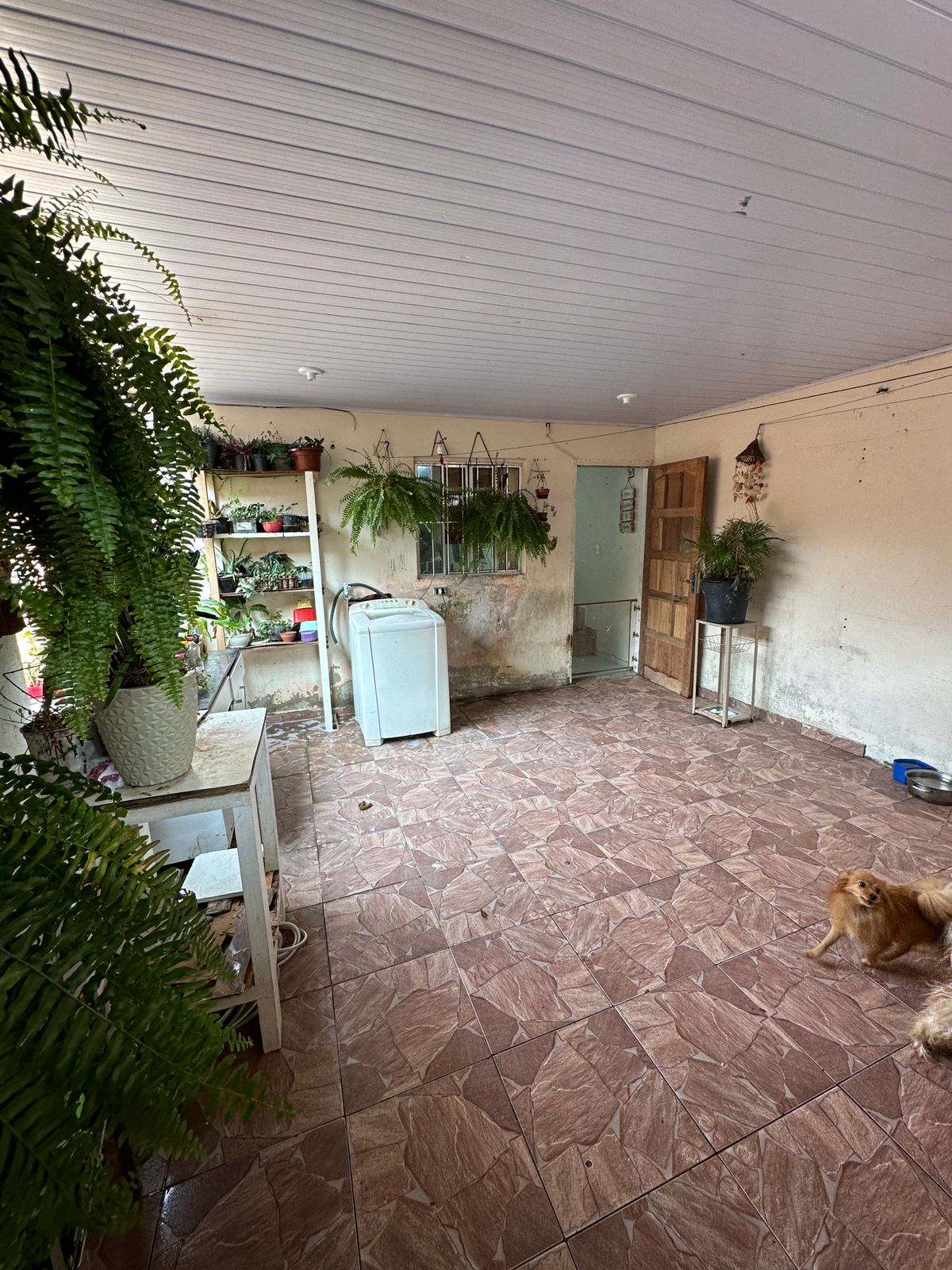 Imagem Casa com 3 Quartos à Venda, 80 m²em Jardim das Rosas (Zona Sul) - São Paulo Imagem Casa com 3 Quartos à Venda, 80 m²em Jardim das Rosas (Zona Sul) - São Paulo