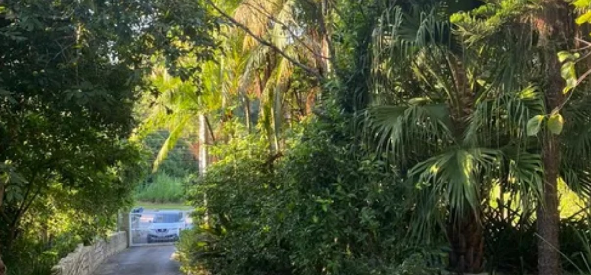 Imagem Chácara com 3 Quartos à Venda, 500 m²em Ratones - Florianópolis