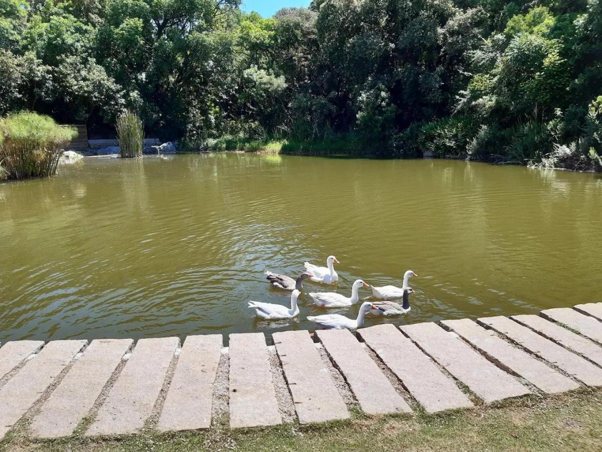 Imagem Apartamento com 2 Quartos à Venda, 40 m² em Santo Antônio - São José dos Pinhais Imagem Apartamento com 2 Quartos à Venda, 40 m² em Santo Antônio - São José dos Pinhais