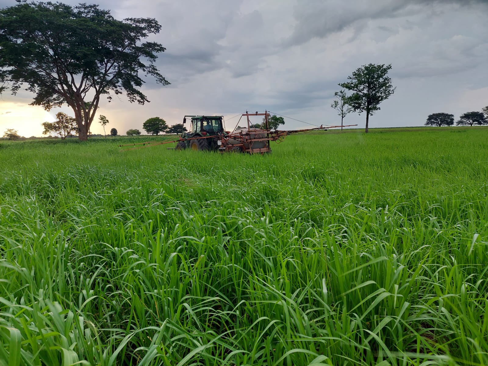 Imagem Fazenda à Venda, 968 m² em Estiva - Itajubá Imagem Fazenda à Venda, 968 m² em Estiva - Itajubá