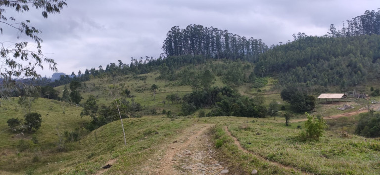 Imagem Fazenda à Venda, 34 HAem Brusque do Sul - Orleans