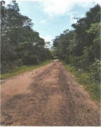 Imagem Fazenda à Venda, 66.246 m² em Zona Rural - Vigia
