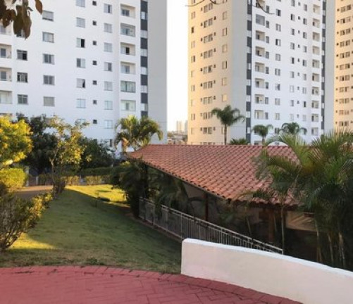 Imagem Apartamento com 2 Quartos para Alugar, 50 m² em Imirim - São Paulo Imagem Apartamento com 2 Quartos para Alugar, 50 m² em Imirim - São Paulo