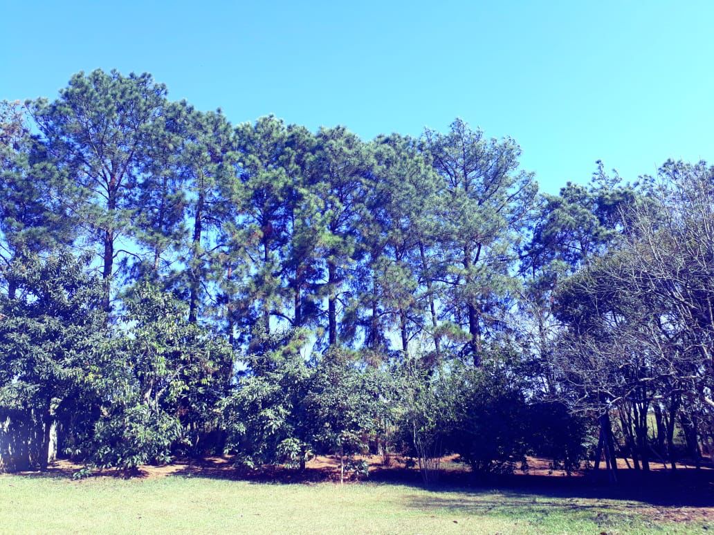 Imagem Chácara com 3 Quartos à Venda, 310 m²em Bosque dos Ipês - Guaratinguetá
