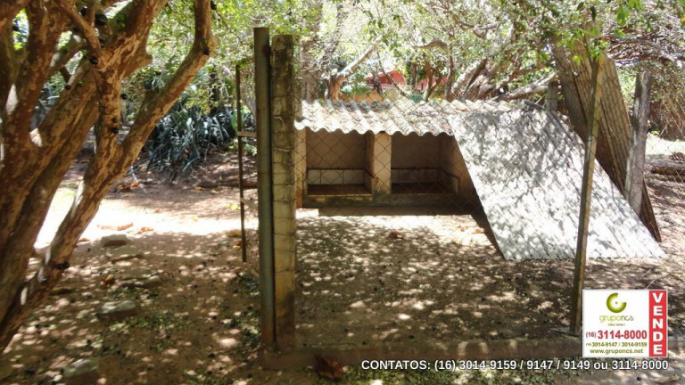 Imagem Chácara com 3 Quartos à Venda, 150 m² em Bueno De Andrada - Araraquara Imagem Chácara com 3 Quartos à Venda, 150 m² em Bueno De Andrada - Araraquara