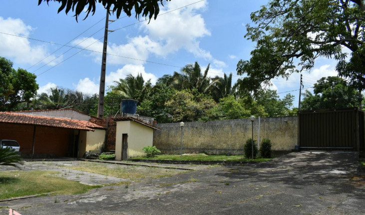 Imagem Fazenda à Venda ou Locação, 300 m² em Vila Esperança - São Luís