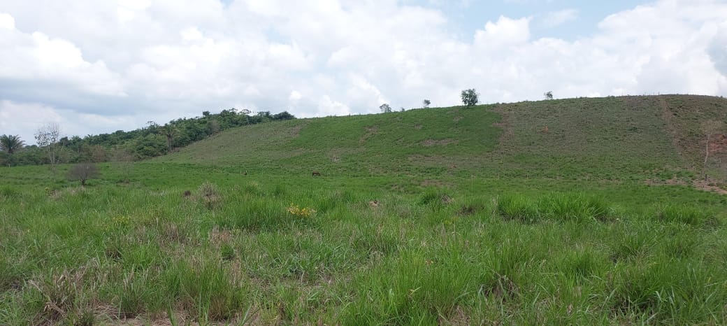 Imagem Fazenda à Venda, 9 Alq MGem Nova Marabá - Marabá