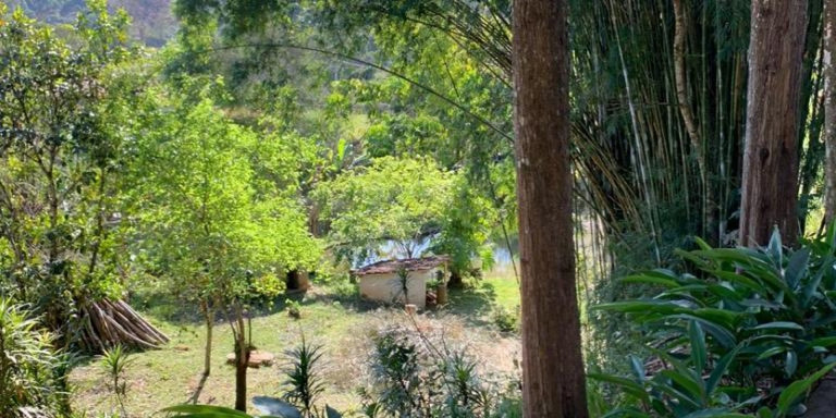 Imagem Chácara com 3 Quartos à Venda, 24.000 m² em Centro - Santa Isabel Imagem Chácara com 3 Quartos à Venda, 24.000 m² em Centro - Santa Isabel
