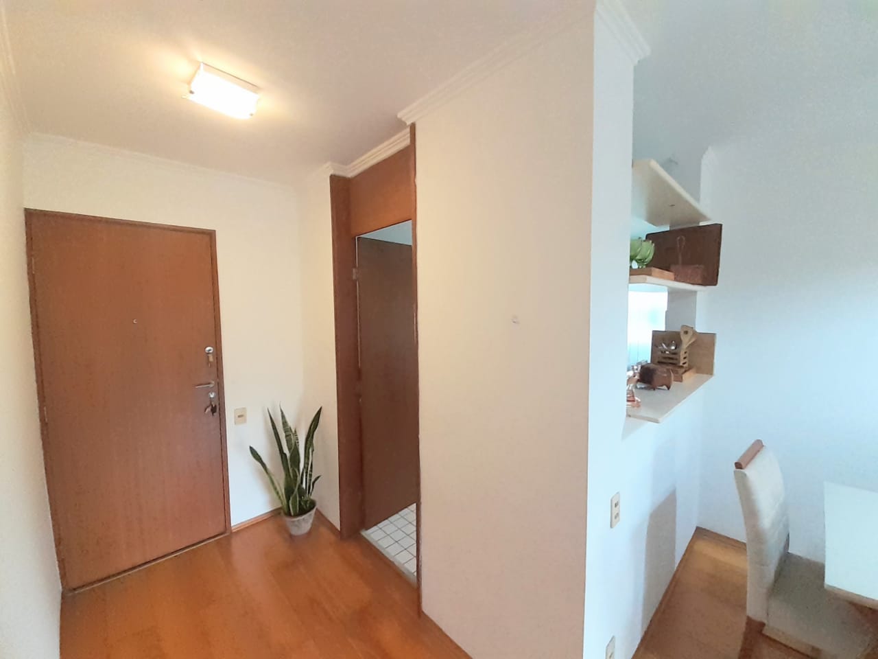 Imagem Apartamento com 3 Quartos para Alugar, 73 m²em Jardim Ampliação - São Paulo Imagem Apartamento com 3 Quartos para Alugar, 73 m²em Jardim Ampliação - São Paulo