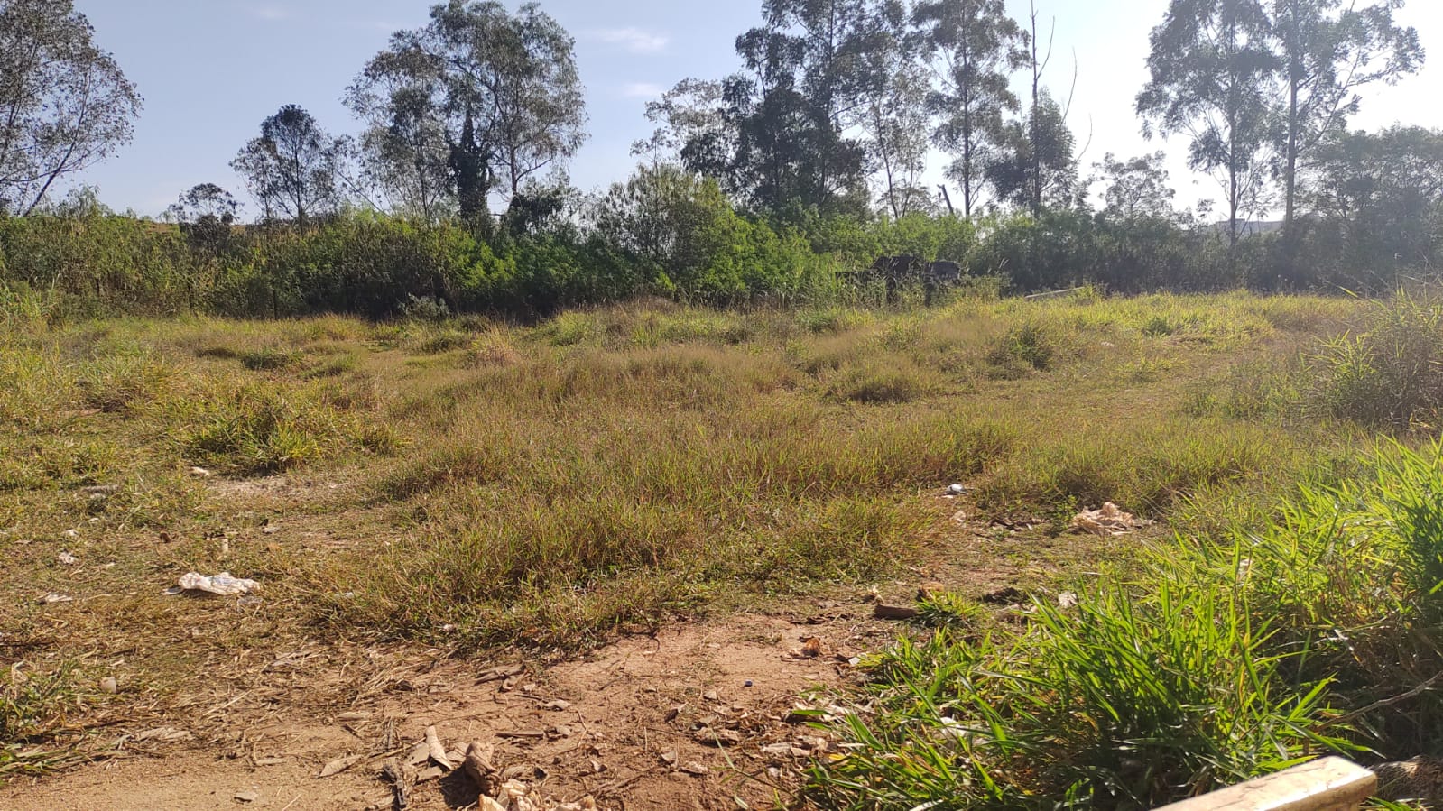 Imagem Galpão à Venda, 800 m²em Chácara Ondas Verdes - Cotia