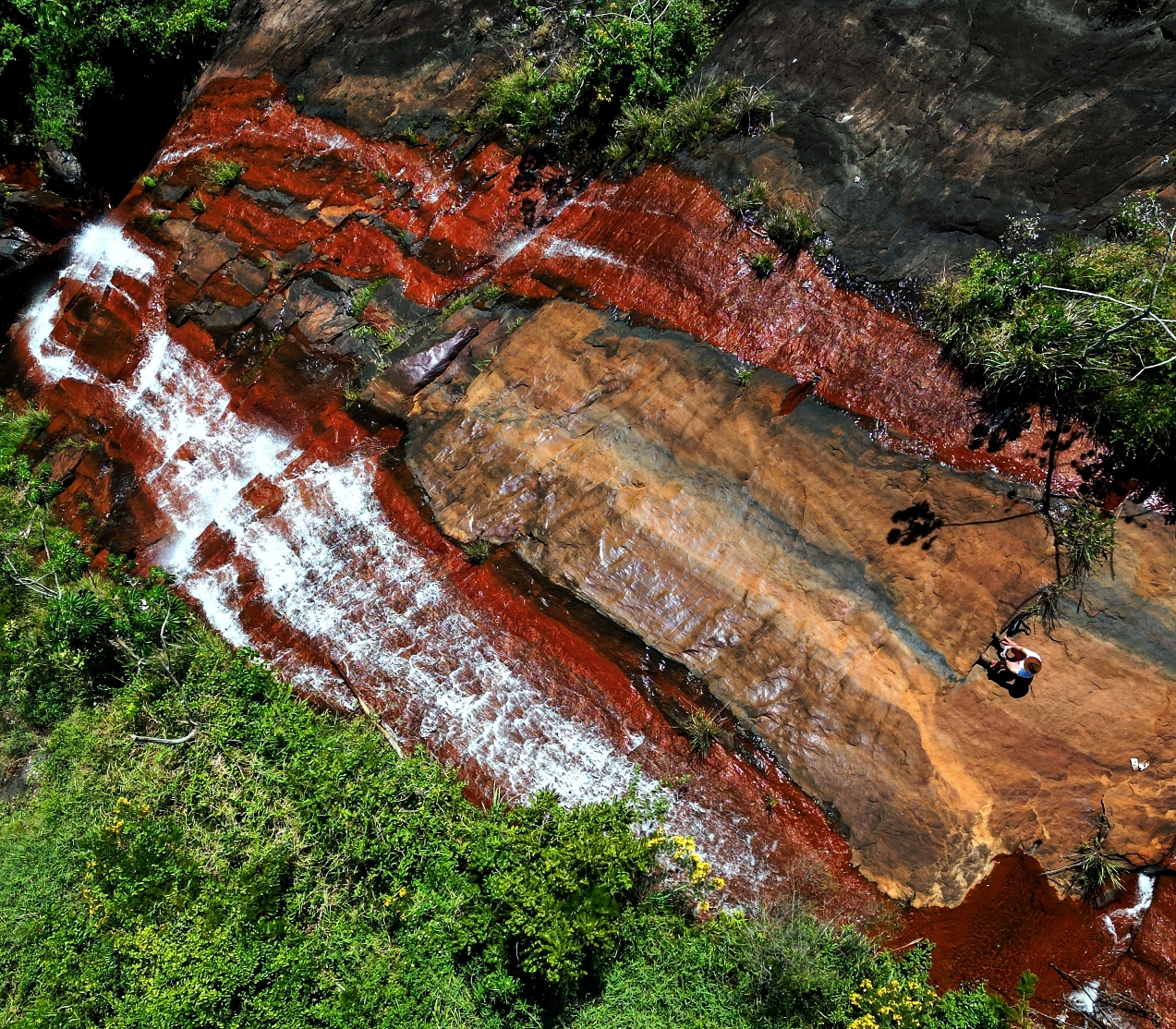 Imagem Fazenda à Venda, 459.000 HA em Área Rural de Valença - Valença