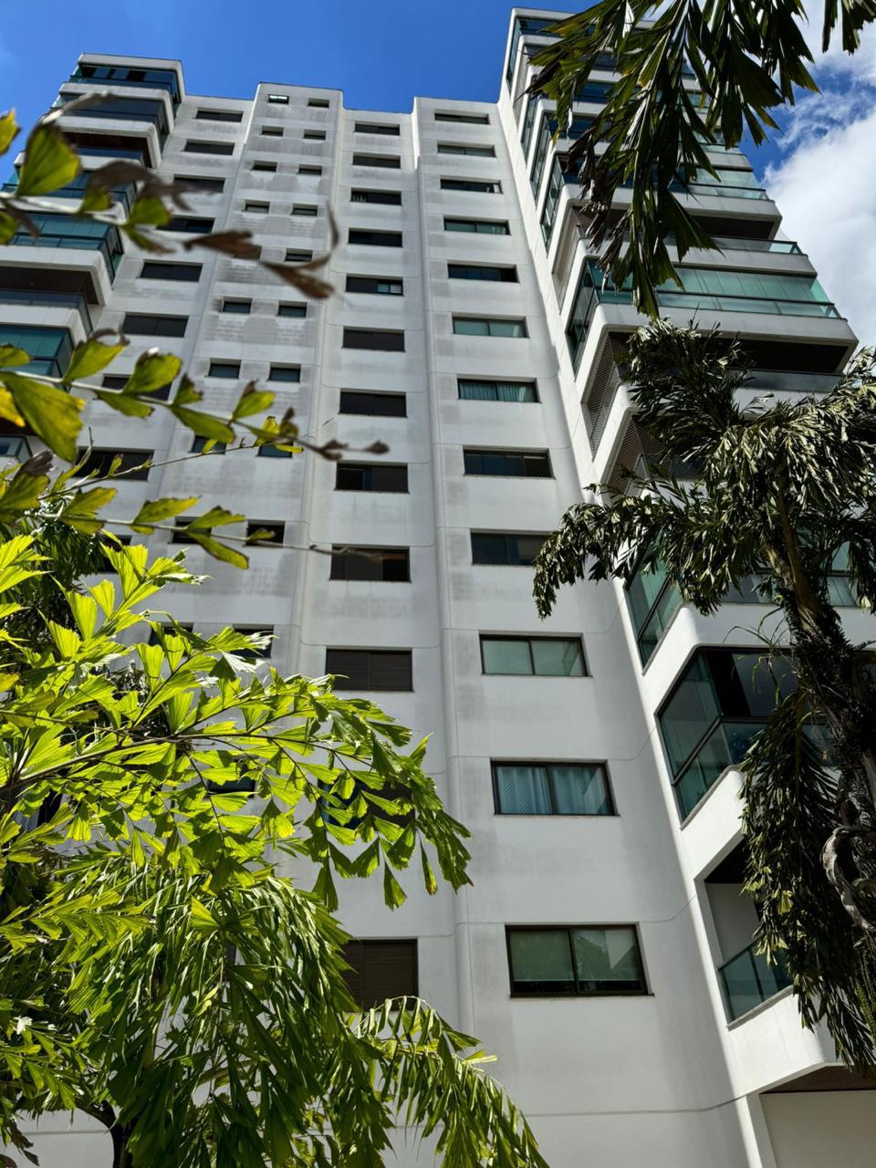 Imagem Apartamento com 3 Quartos à Venda ou Locação, 247 m² em Vila Suzana - São Paulo