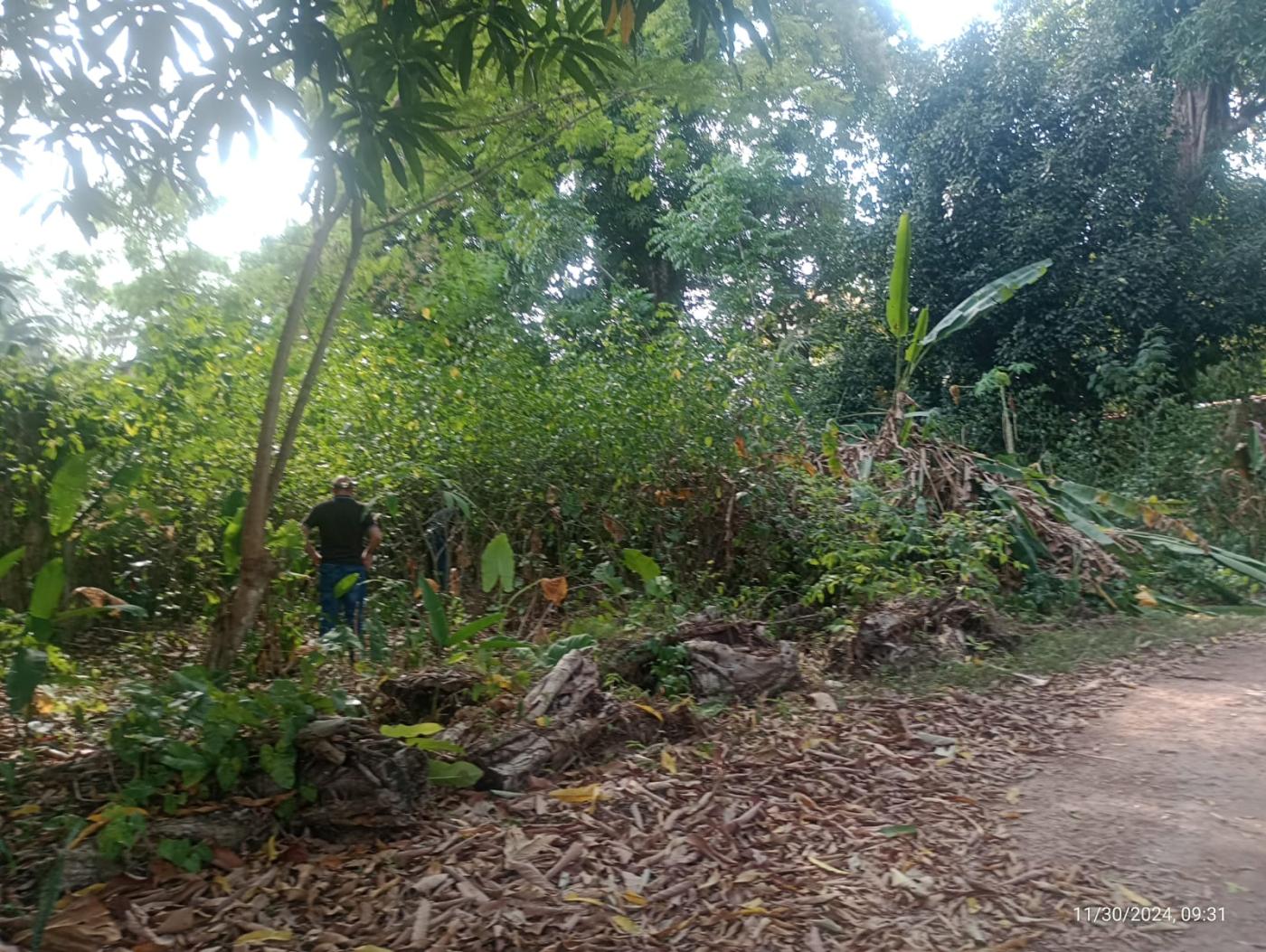 Imagem Chácara à Venda, 55.950 m² em São João do Outeiro (Outeiro) - Belém Imagem Chácara à Venda, 55.950 m² em São João do Outeiro (Outeiro) - Belém