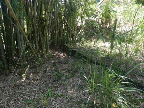 Imagem Terreno à Venda, 58.000 m² em Centro Histórico (Paraty) - Paraty Imagem Terreno à Venda, 58.000 m² em Centro Histórico (Paraty) - Paraty