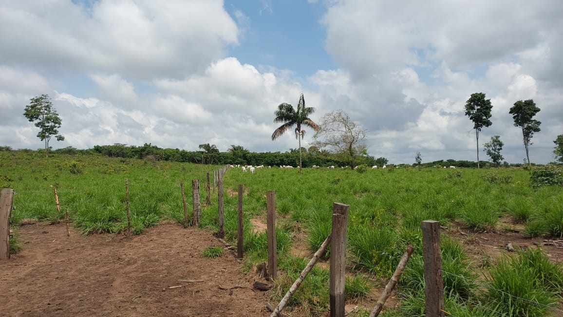 Imagem Fazenda à Venda, 9 Alq MGem Nova Marabá - Marabá