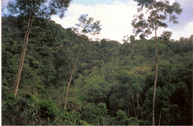 Imagem Terreno à Venda, 726.000 m² em Jardim Mirna - Taboão da Serra Imagem Terreno à Venda, 726.000 m² em Jardim Mirna - Taboão da Serra