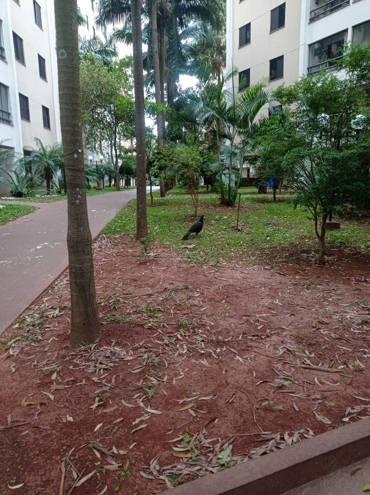 Imagem Apartamento com 3 Quartos à Venda, 76 m²em Jardim Bontempo - Taboão da Serra