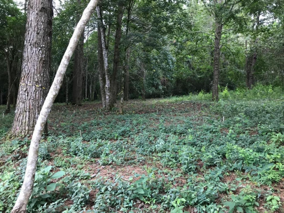 Imagem Terreno em Condomínio à Venda, 1.212 m² em Caxambu - Jundiaí