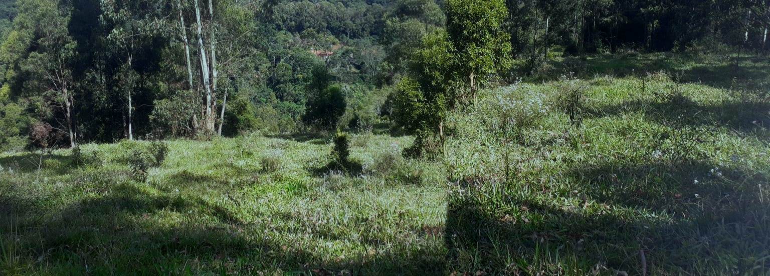 Imagem Chácara à Venda, 20.000 m² em Centro - Poços de Caldas Imagem Chácara à Venda, 20.000 m² em Centro - Poços de Caldas