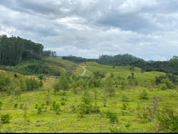Imagem Fazenda à Venda, 34 HAem Brusque do Sul - Orleans