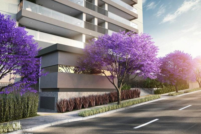 Imagem Apartamento com 3 Quartos à Venda, 110 m² em Alto da Lapa - São Paulo Imagem Apartamento com 3 Quartos à Venda, 110 m² em Alto da Lapa - São Paulo