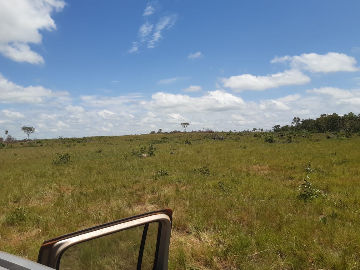 Imagem Fazenda à Venda, 523.000 HA em Mata Geral - Redenção