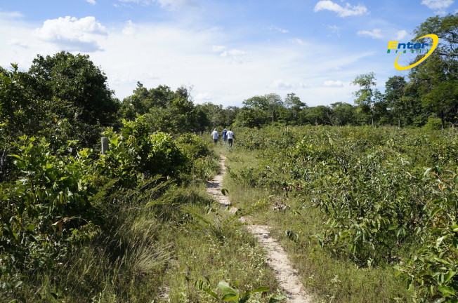 Imagem Fazenda à Venda, 681.000 m² em rural - São João D'Aliança