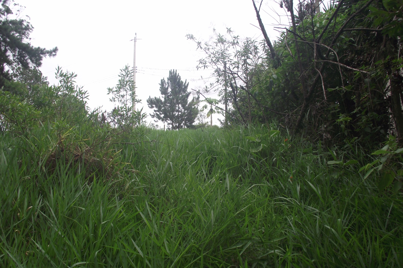 Imagem Terreno à Venda, 24.452 m² em Apotribu de Cima - Itu Imagem Terreno à Venda, 24.452 m² em Apotribu de Cima - Itu