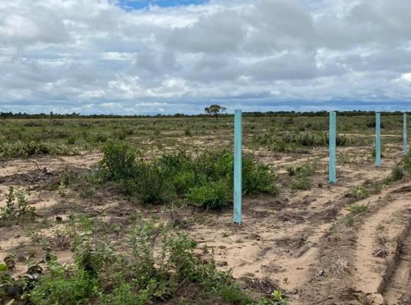Imagem Terreno à Venda, 5.000 m² em AU AU - Alto Alegre Imagem Terreno à Venda, 5.000 m² em AU AU - Alto Alegre