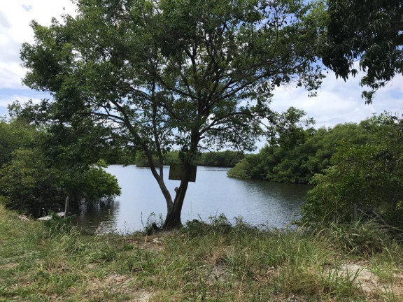 Imagem Terreno à Venda, 160.000 m² em Praia de Tamandaré - Tamandaré Imagem Terreno à Venda, 160.000 m² em Praia de Tamandaré - Tamandaré
