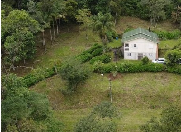 Imagem Chácara com 2 Quartos à Venda, 117 m² em Santa Isabel - Águas Mornas