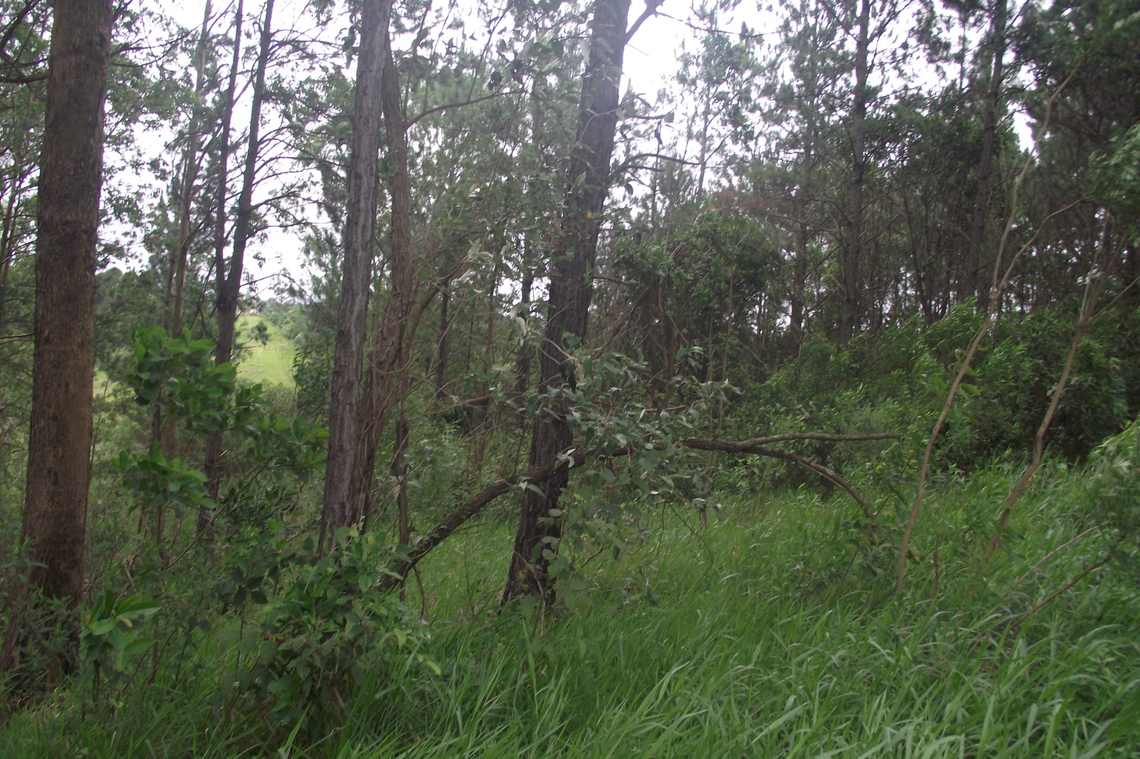 Imagem Terreno à Venda, 24.452 m² em Apotribu de Cima - Itu Imagem Terreno à Venda, 24.452 m² em Apotribu de Cima - Itu
