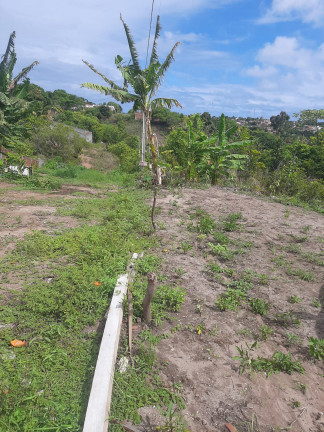 Imagem Terreno à Venda, 450 m² em Jacumã - Conde Imagem Terreno à Venda, 450 m² em Jacumã - Conde