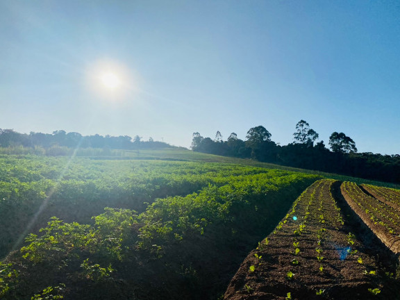 Imagem Terreno em Condomínio à Venda, 1.000 m² em Verava - Ibiúna Imagem Terreno em Condomínio à Venda, 1.000 m² em Verava - Ibiúna