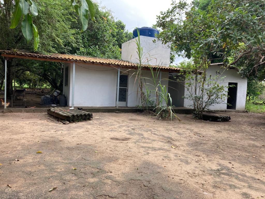 Imagem Imóvel com 5 Quartos à Venda, 400 m²em Murutuba - Cachoeira Imagem Imóvel com 5 Quartos à Venda, 400 m²em Murutuba - Cachoeira