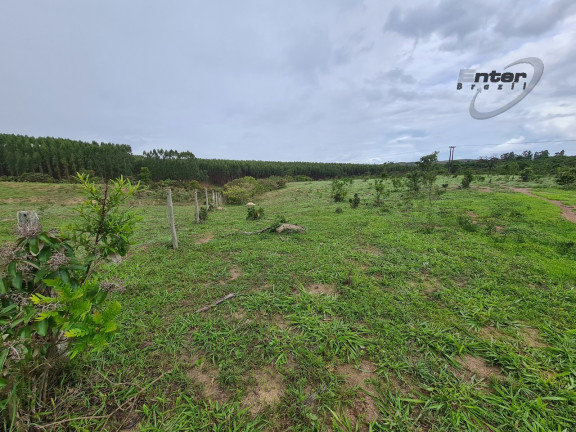 Imagem Fazenda à Venda, 24 HA em brazlandia - Brasília