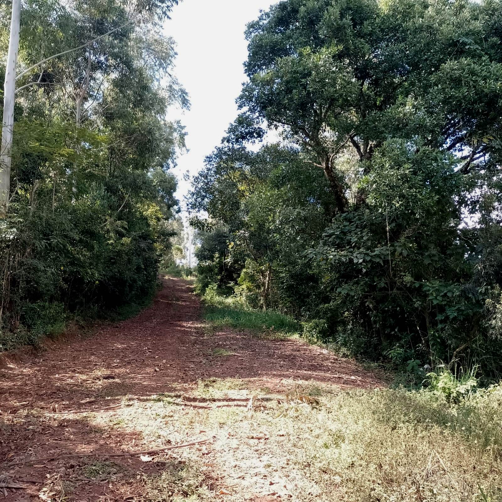 Imagem Chácara à Venda, 20.000 m² em Centro - Poços de Caldas Imagem Chácara à Venda, 20.000 m² em Centro - Poços de Caldas