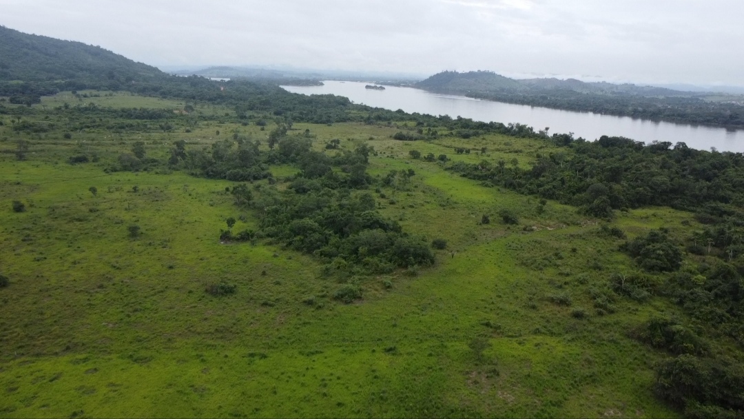 Imagem Fazenda à Venda, 90 m²em Centro - São Félix do Xingu Imagem Fazenda à Venda, 90 m²em Centro - São Félix do Xingu