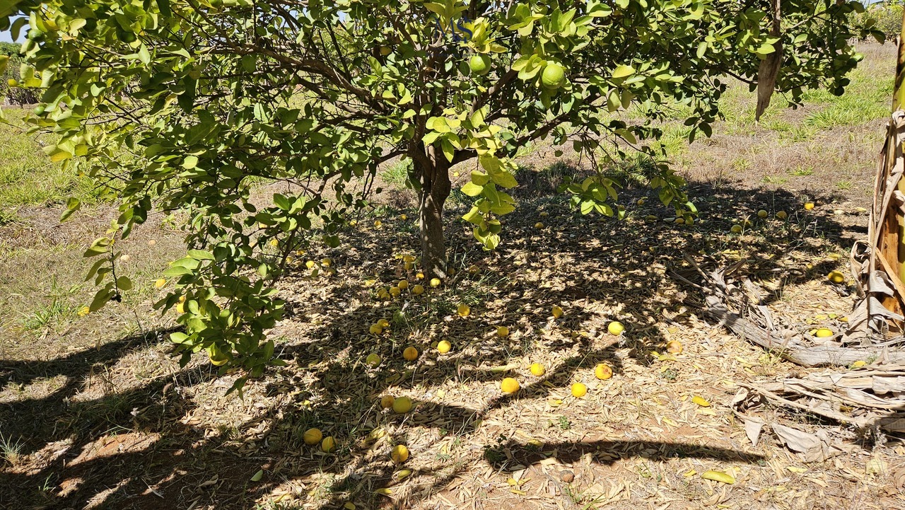Imagem Terreno à Venda, 5 m²em Zona de Dinamização (Santa Maria) - Brasília