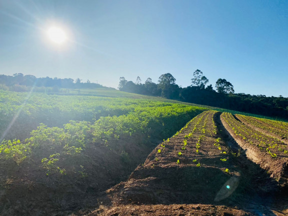 Imagem Terreno em Condomínio à Venda, 500 m² em DONA CATARINA - Mairinque Imagem Terreno em Condomínio à Venda, 500 m² em DONA CATARINA - Mairinque