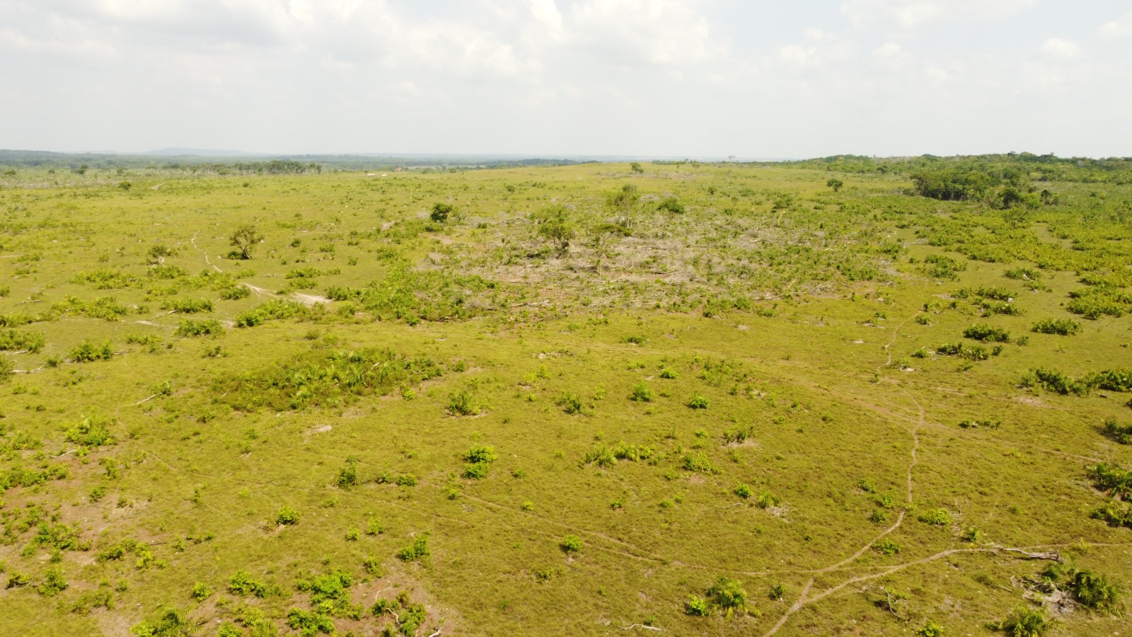 Imagem Fazenda à Venda, 523.000 HA em Mata Geral - Redenção