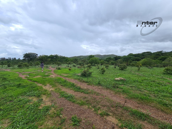 Imagem Fazenda à Venda, 24 HA em brazlandia - Brasília