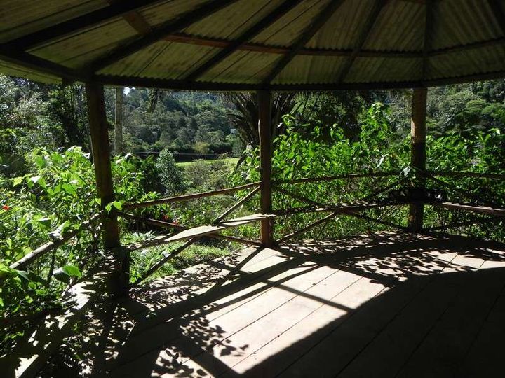 Imagem Casa com 4 Quartos à Venda, 250 m² em Várzea - Teresópolis