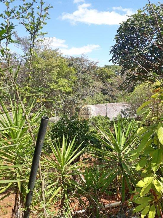 Imagem Imóvel com 2 Quartos à Venda, 5.000 m² em - Corinto Imagem Imóvel com 2 Quartos à Venda, 5.000 m² em - Corinto
