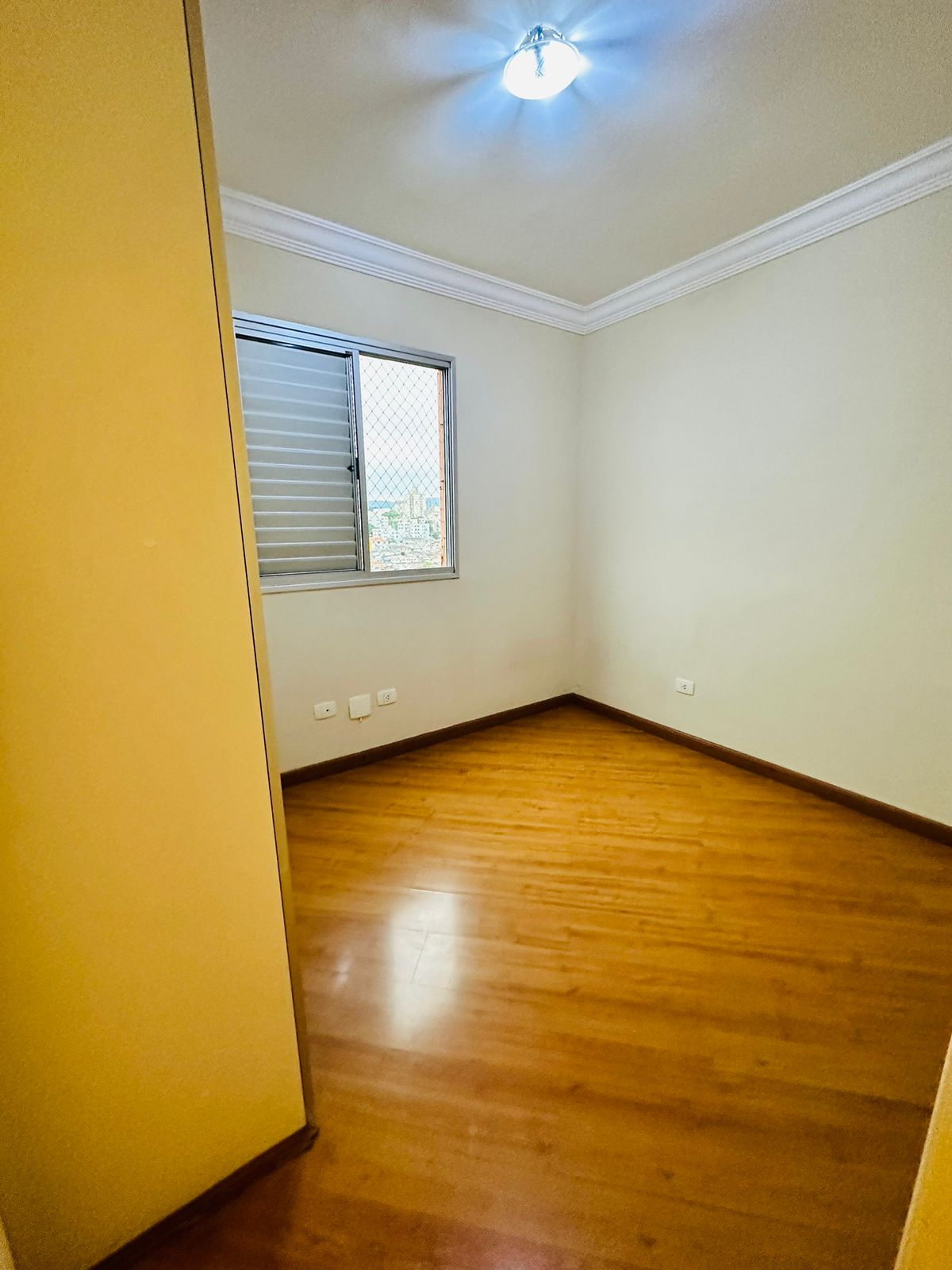 Imagem Apartamento com 2 Quartos à Venda, 61 m²em Vila Basileia - São Paulo Imagem Apartamento com 2 Quartos à Venda, 61 m²em Vila Basileia - São Paulo