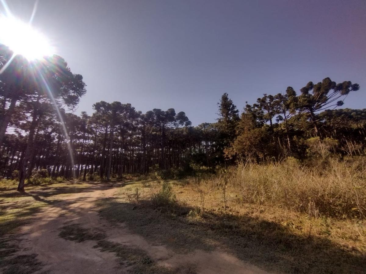 Imagem Terreno à Venda, 8 m²em Vila Aparecida - Salesópolis