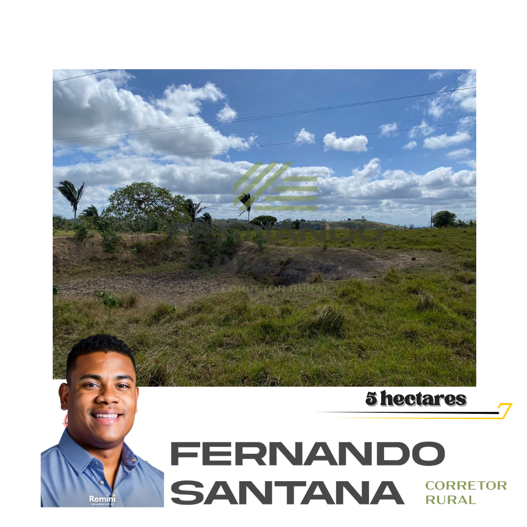 Imagem Fazenda à Venda, 5 HAem CENTRO - Borborema Imagem Fazenda à Venda, 5 HAem CENTRO - Borborema